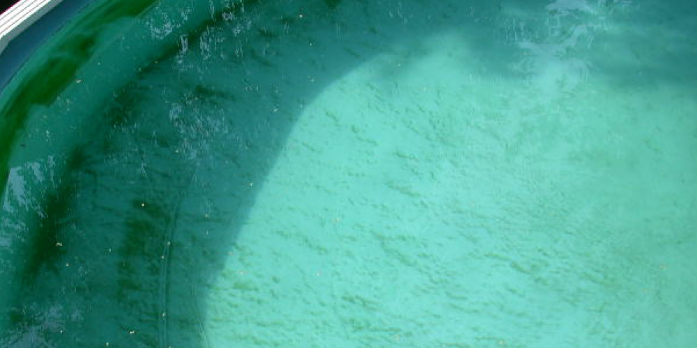 Lesphosphatesdansleaudepiscine.jpg